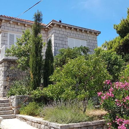 Downtown Serenity House Daire Dubrovnik Dış mekan fotoğraf